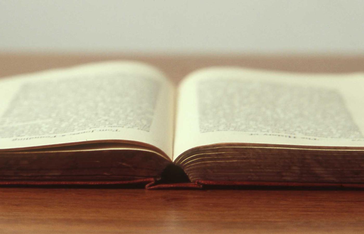 Bookshelves in warm light